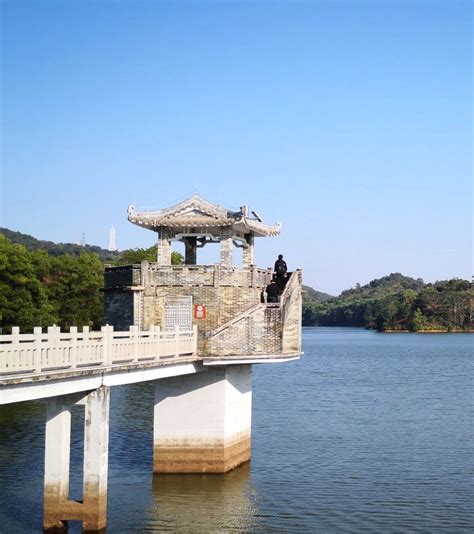 蓮塘口岸去惠陽|惠州往香港蓮塘口岸(深方)跨境巴士